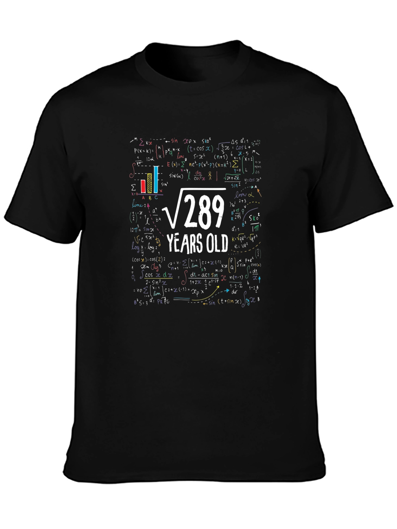 Funny Math 17th Birthday T-Shirt: Root 289 Years Old