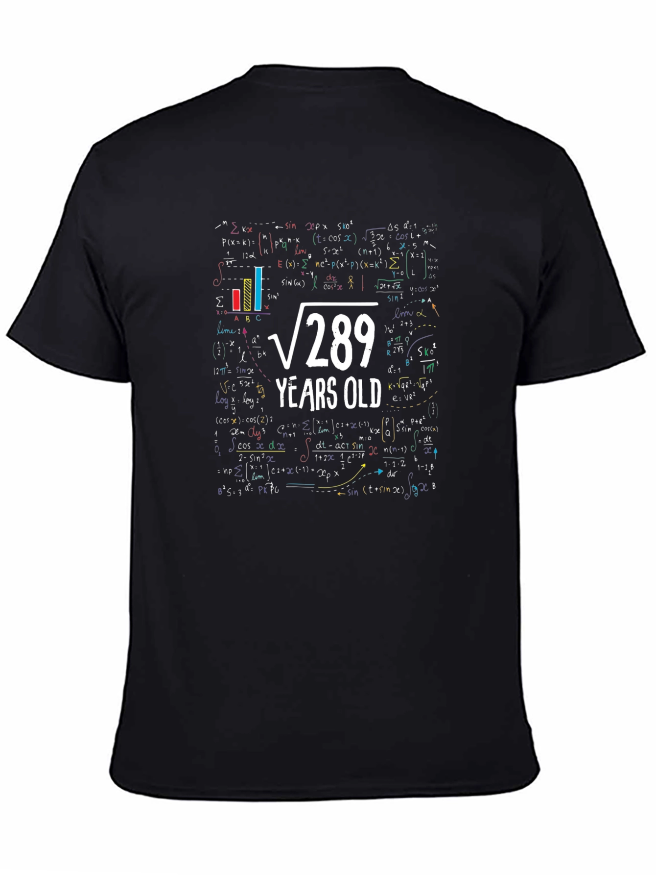 Funny Math 17th Birthday T-Shirt: Root 289 Years Old