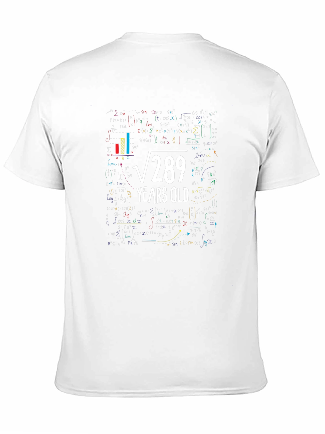 Funny Math 17th Birthday T-Shirt: Root 289 Years Old