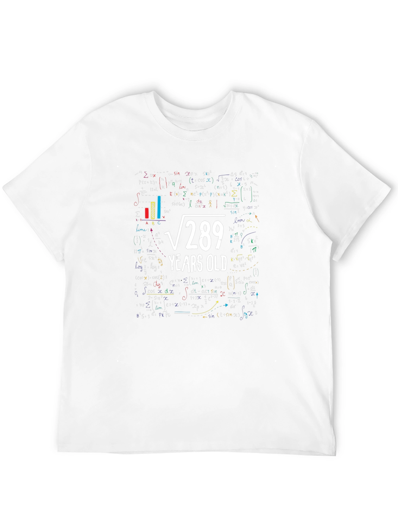 Funny Math 17th Birthday T-Shirt: Root 289 Years Old