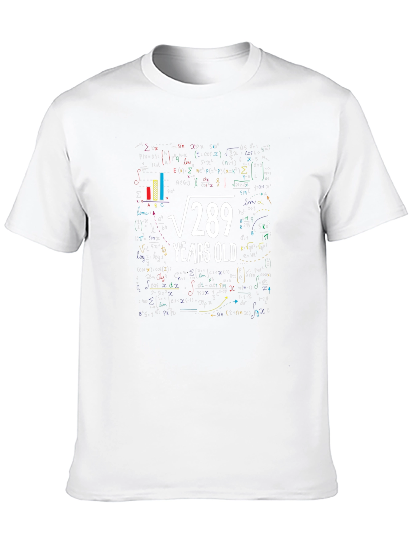 Funny Math 17th Birthday T-Shirt: Root 289 Years Old